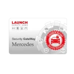 Licence Mercedes-Benz SGW - 12 mois